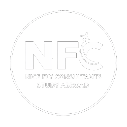 nice-fly-consultants-logo